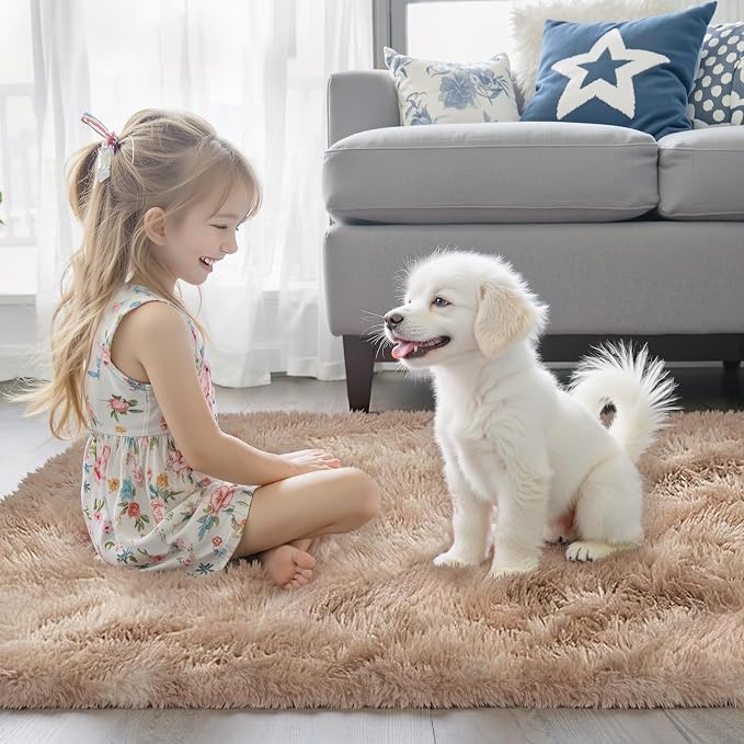 Rugs for Bedroom 4x6, Alfombras para Salas Shag Plush Soft Area Rug, Shaggy Carpets for Livingroom,Home Decor Aesthetic(4 x 6, Dark Beige Tie-Dyed)
