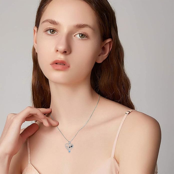 Birthstone Veterinary Stethoscope Necklace 925 Sterling Silver Nurse Vet Pendant with Dog Paw Nurse Jewelry Gifts for Veterinarian Nurse Women Veterinarian Gifts