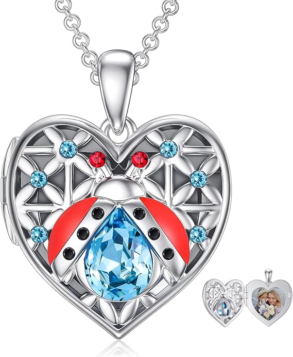 Dorunmo Personalized Locket Necklace 925 Sterling Silver that Holds Pictures Butterfly Birthstone Photo Heart Locket Custom Jewelry Congratulations New Beginnings New Job Gifts for Women