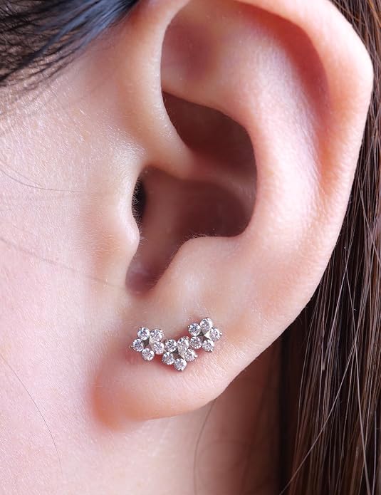 Limerencia 2Pcs 18g Titanium Internally Threaded Tragus Piercing Jewelry Nose Studs Flat Back Earrings Labret, Lip, Helix, Cartilage, Conch, Medusa Piercing for Women Men Sensitive Ears