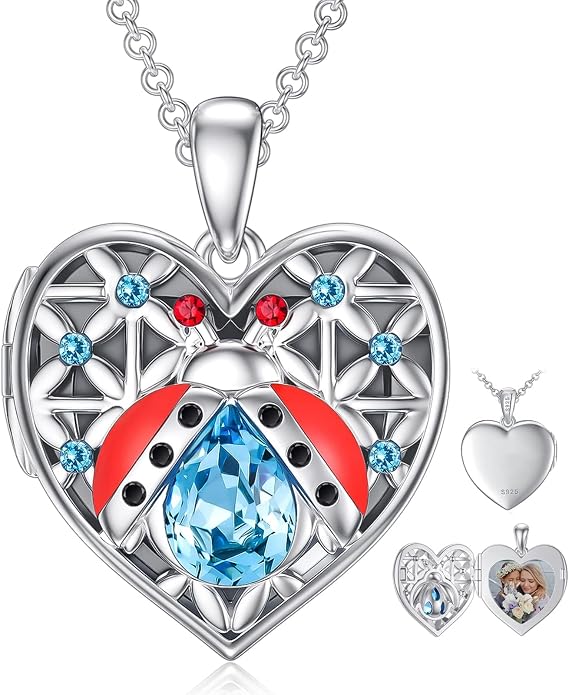 Dorunmo Personalized Locket Necklace 925 Sterling Silver that Holds Pictures Butterfly Birthstone Photo Heart Locket Custom Jewelry Congratulations New Beginnings New Job Gifts for Women