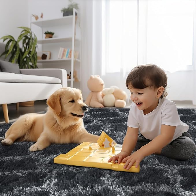 Sour Lemon Area Rugs 9x12 Living Room, Large Area Rug Shag Shaggy Carpet Soft Plush Furry Bedside Rug, Machine Washable Area Rugs for Bedroom Kids Girls Boys Home Decor Anti Slip