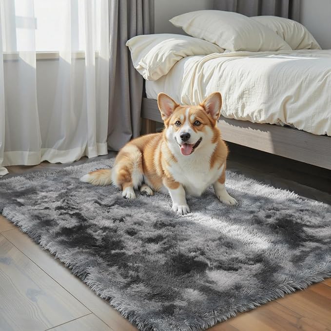 Small Rug Throw Rugs for Bedroom, Mini Area Rug, Fluffy Grey Carpet, Affordable Door Entryway Indoor Inside Front Entrance Dog 2x3 Mat, Home Decor Aesthetic(2 x 3, Dark Grey Tie-Dyed)