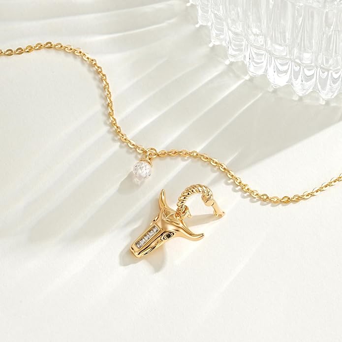 Fashion Dainty Necklace for Women - 14K Gold Plated Detachable Pendant with Cubic Zirconia Accent, Hypoallergenic Layering Jewelry for Women, Trendy Storm Charm Necklace for Daily Wear & Gifting
