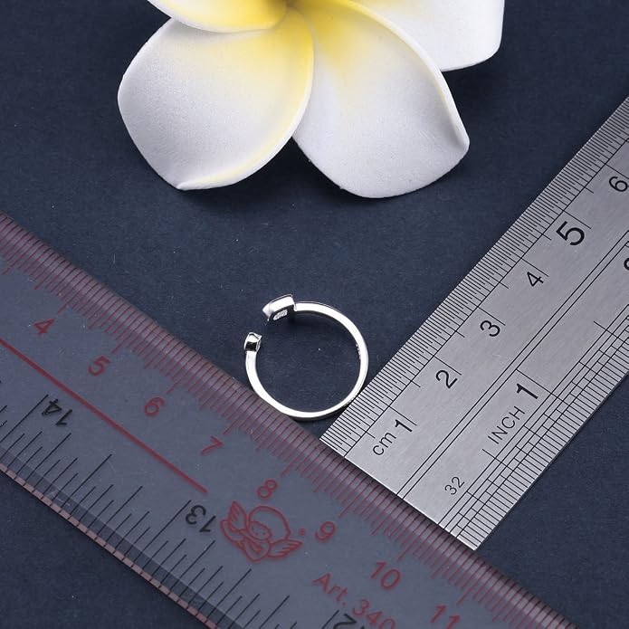 VIKI LYNN Sterling Silver Initial P Ring with Cubic Zirconia Size 4.5 Adjustable Letter Ring