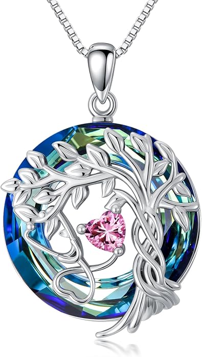 Birthstone Veterinary Stethoscope Necklace 925 Sterling Silver Nurse Vet Pendant with Dog Paw Nurse Jewelry Gifts for Veterinarian Nurse Women Veterinarian Gifts