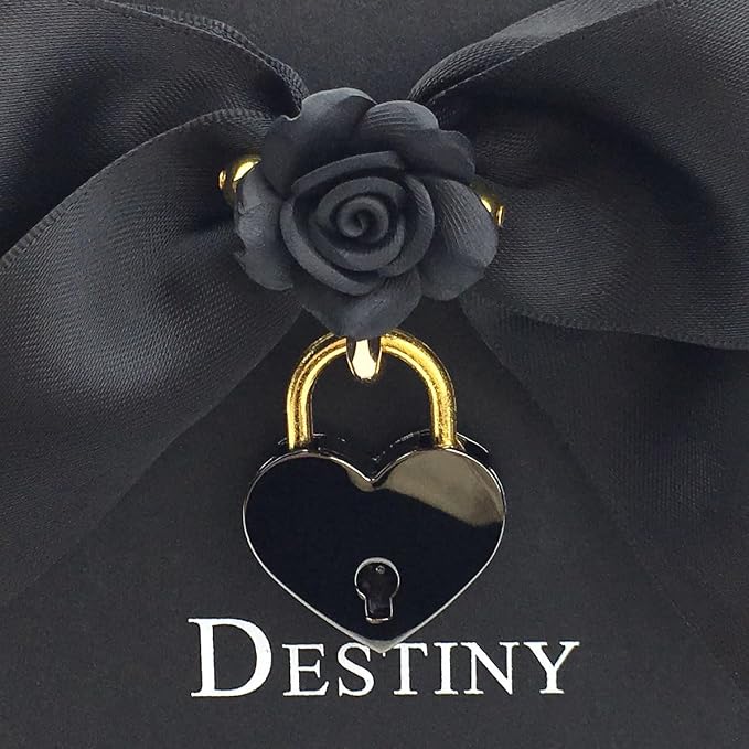Destiny Love Handmade Rose Flower Choker Collar Necklace Velvet Necklace with Box for Women and Men