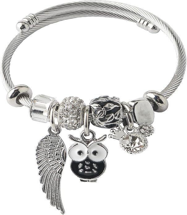 DS Charm Bracelets for girls,exquisite cute cartoon friendship bracelets Silver Stainless Steel Bangle with birthday Gift box, Adjustable girls jewelry Suitable for holiday gifts