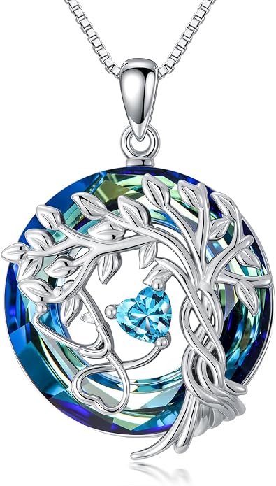 Birthstone Veterinary Stethoscope Necklace 925 Sterling Silver Nurse Vet Pendant with Dog Paw Nurse Jewelry Gifts for Veterinarian Nurse Women Veterinarian Gifts