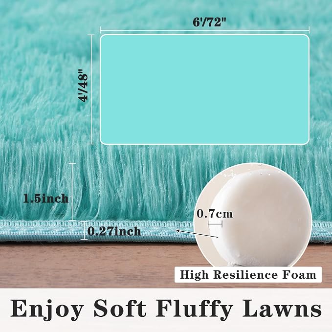 Dssimo Teal Blue Rug for Bedroom Living Room, 4x6 Soft Shag Teal Area Rugs | Plush Fluffy Upgrade Non-Slip Turquoise Rug for Nursery Kids Room Dorm Room Home Decor, Indoor Plush Floor Carpet