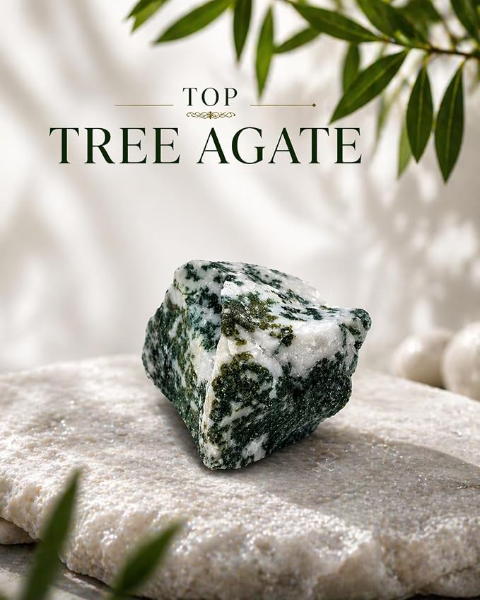 Large 1.25-2.0” Natural Tree Agate Raw Crystals Stones for Meditation, Chakra, Reiki, Crystal Grid, Energy Work, Wire Wrapping, Tumbling & Spiritual Home Decor