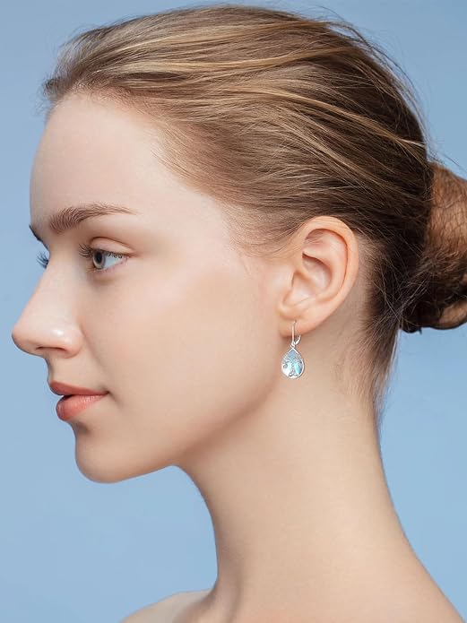 Seiyang Dangle Earrings 925 Sterling Silver Animal/American Flag/Turquoise Dangle Drop Earrings Jewelry Gifts for Women