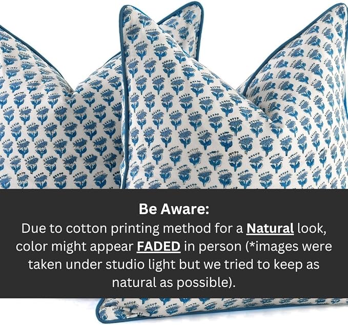 CPC 100% Cotton Throw Pillow Covers 24x24 Inch, Set of 2 Blue Block Print Pattern Couch Pillow, Cute Boho Decorative Pillows for Living Room, Bedroom with Hidden Zipper- Apatite Blue