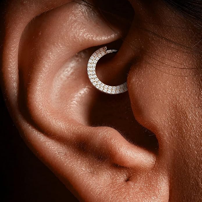 Pierced Owl - 16GA G23 Implant Grade Titanium Double CZ Crystal Lined Cartilage Helix Daith Septum Hinged Segment Ring