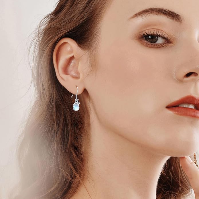 Dreamboat Cute Animal Dangle Drop Earrings for Women 925 Sterling Silver Hypoallergenic Animals Hook Earring Birthday Party Jewelry Gifts for Sensitive Ears