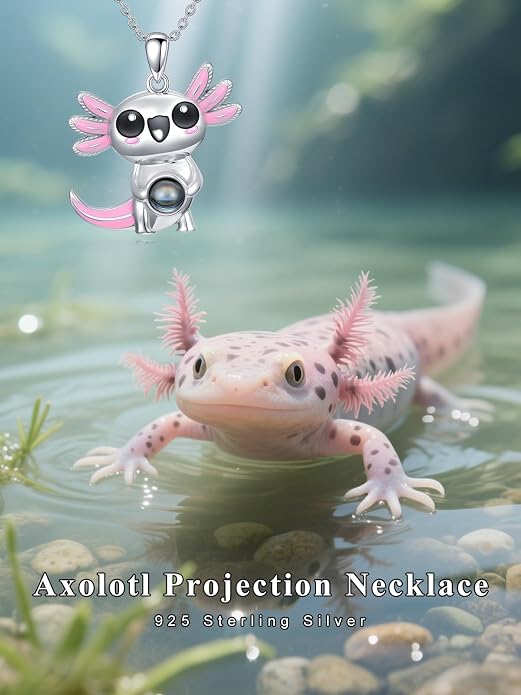 Dorunmo Axolotl Necklace 925 Sterling Silver Axolotl Birthstone Pendant Cute Animal Axolotl Jewelry Gifts for Women