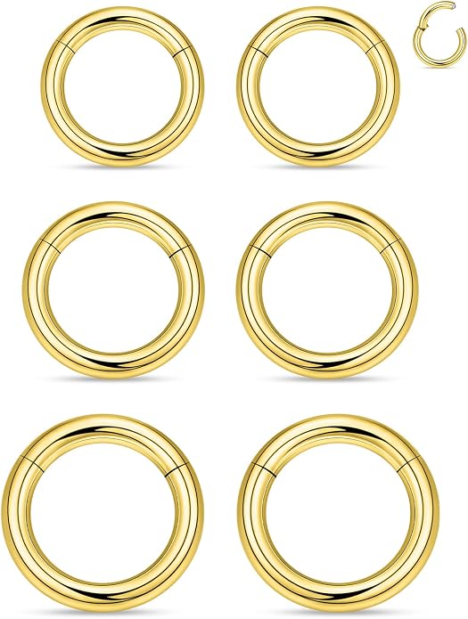 20G 18G 16G 14G 12G 10G 8G 6G 4G 2G Nose Rings Hoops 316l Surgical Steel Clicker Septum Lip Ring Tragus Helix Daith Rook Conch Snug Cartilage Lobe Earrings Hoop Piercing Jewelry For Women Men