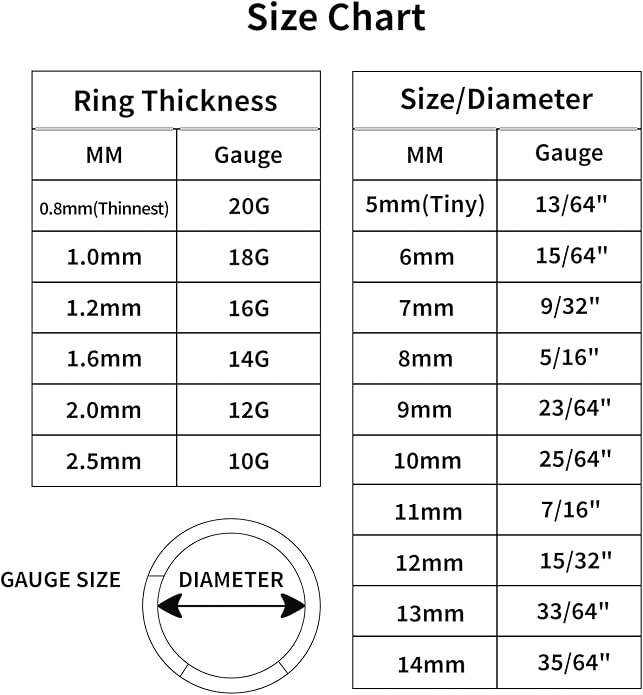 20/16G CZ Hinged Nose Rings Hoop, 316L Surgical Stainless Steel Cartilage Earring, Septum Clicker Ring, Daith Helix Rook Tragus Conch Lip Lobe Piercing Jewelry