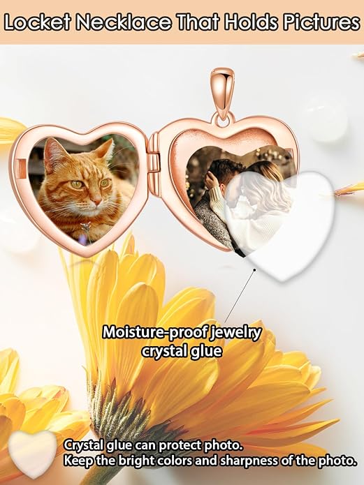 Round/Heart/Oval Shape Locket Necklace That Holds Pictures 925 Sterling Silver Personalized Birthstone Photos Engraved Locket Pendant Birthday Memorial Jewelry Gift for Women