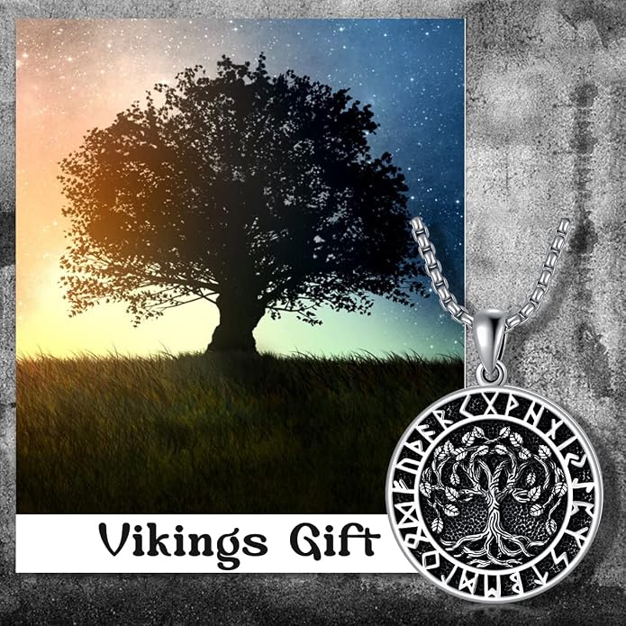 Seiyang Sterling Silver Viking Necklace Norse Jewelry Gift for Men Women with 2mm 22+2 IN Rolo Chain (with Gift Box)