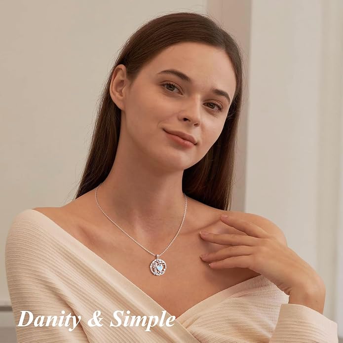 925 Sterling Silver Moonstone Necklace New Beginnings, Graduation Gifts, Created Moonstone Jewelry June Birthstone Necklace for Women, Inspirational Birthday Graduation Gifts for Friend Sister Daughter Mom