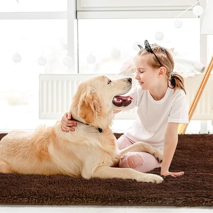 Sour Lemon 8x10 Area Rugs for Bedroom Living Room, Large Fluffy Shag Brown | Shaggy Carpet, Soft Plush Furry Bedside Rugs, Anti Slip, Washable Area Modern Rugs Floor Mat for Kids Girls Boys Living Room