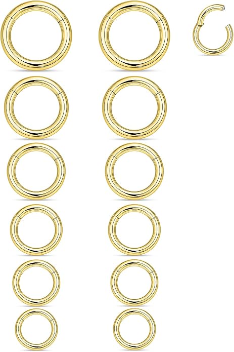 20G-2G Surgical Steel Hinged Clicker Septum Nose Rings Gauges Earrings Seamless Hoops Eyebrow Lip Ring Cliker Helix Tragus Daith Rook Earrings for Women Men