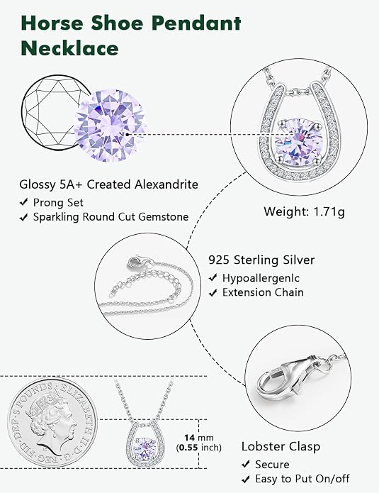 925 Sterling Silver Horseshoe Necklace for Women Round Gemstone Birthstone Necklace Sapphire/Emerald/Ruby/CZ Horse Shoe Pendant Necklaces Jewelry Gift