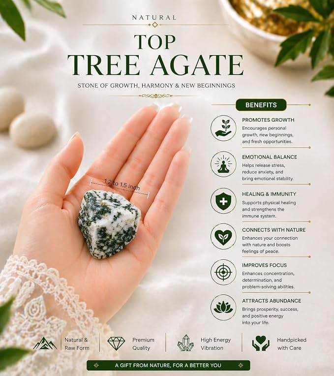 Large 1.25-2.0” Natural Tree Agate Raw Crystals Stones for Meditation, Chakra, Reiki, Crystal Grid, Energy Work, Wire Wrapping, Tumbling & Spiritual Home Decor