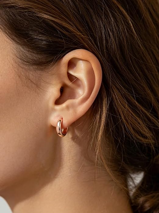 Silvora 14K Gold Plated Chunky Hoop Earrings for Women, Small Thick Huggie Hoops with 925 Sterling Silver Post, Hypoallergenic Lightweight Hoop Earrings, 8/10/12/14mm