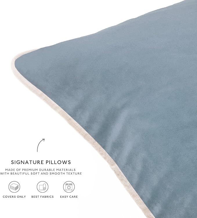 MONDAY MOOSE Decorative Throw Pillow Covers Cushion Cases, Set of 4 Soft Velvet Modern Double-Sided Designs, Mix and Match for Home Decor, Pillow Inserts Not Included (12x20 inch, Beige/Light Blue)