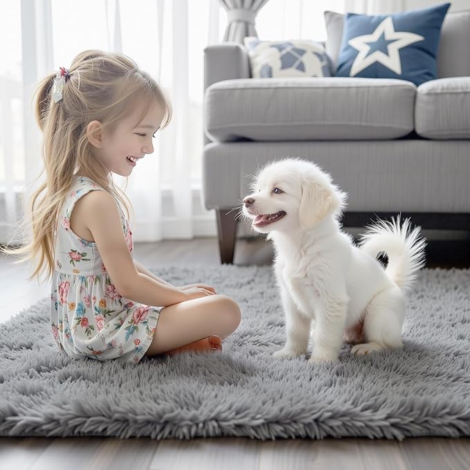 Rugs for Bedroom 4x6, Alfombras para Salas Shag Plush Soft Area Rug, Shaggy Carpets for Livingroom,Home Decor Aesthetic(Light Grey, 4 x 6)