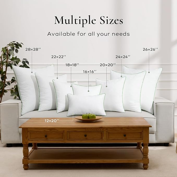 Ashler 22x22 Pillows Insert (Set of 4) - Throw Pillow Inserts with 100% Cotton Cover - 22 Inch Square Interior Sofa Stuffer Pillow Inserts -Decorative White Couch Pillow