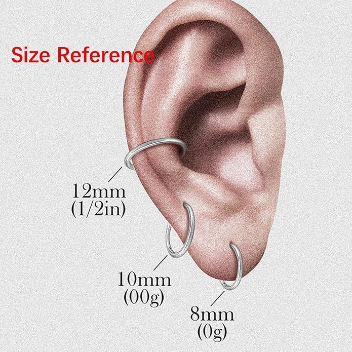 5/10PCS Septum Rings Hoop, 16G/1.2*(6-8-10) mm Surgical Stainless Steel CZ Segment Nose Rings, Cartilage Clicker Hoop Earrings for Rook, Daith, Tragus, Shell pattern Gold Silver