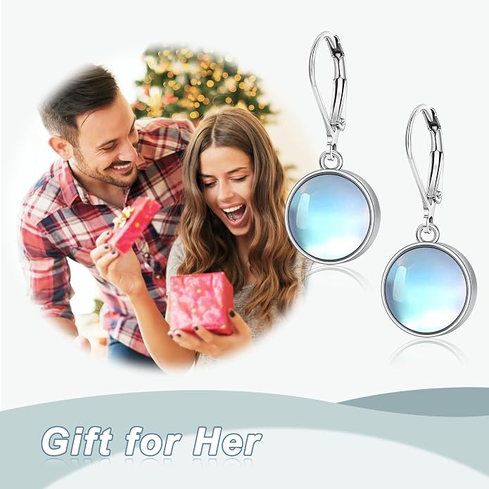 Larimar/Star/Dragonfly/Sunflower/Moonstone/Black Onyx Earrings for Women Leverback Dangle Earrings Hypoallergenic Jewelry for Women