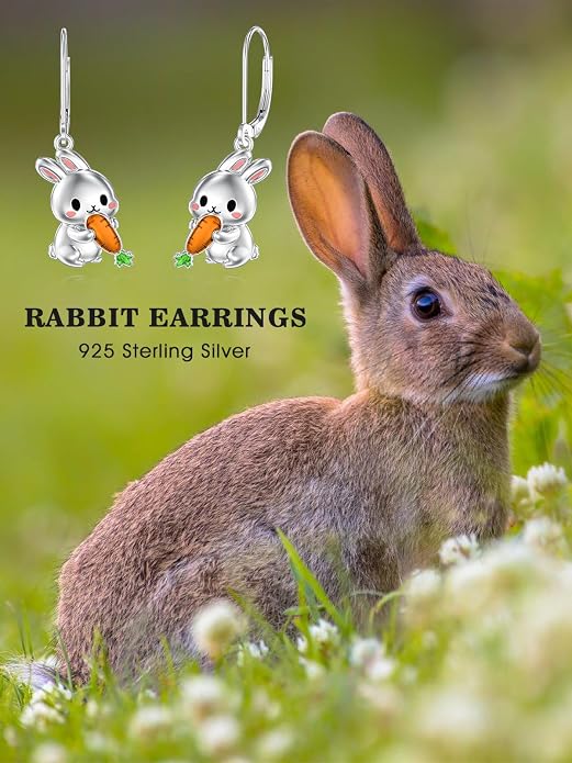 Seiyang Dangle Earrings 925 Sterling Silver Animal/American Flag/Turquoise Dangle Drop Earrings Jewelry Gifts for Women