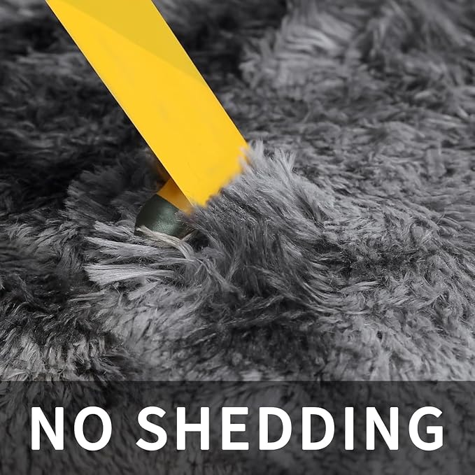 Sour Lemon 8x10 Area Rugs for Bedroom Living Room, Large Fluffy Shag Grey | Shaggy Carpet,Soft Plush Furry Bedside Rugs,Anti Slip,Washable Area Modern Rugs Floor Mat for Kids Girls Boys Living Room