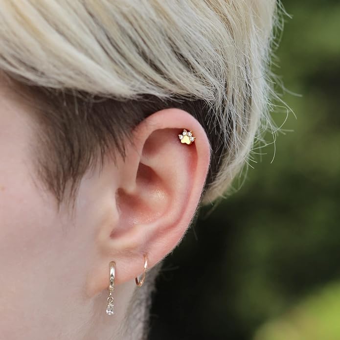 Cocharm 14K Solid Gold Cartilage Earring - Dog Paw Yellow Gold Flat Back Helix Stud, 16g