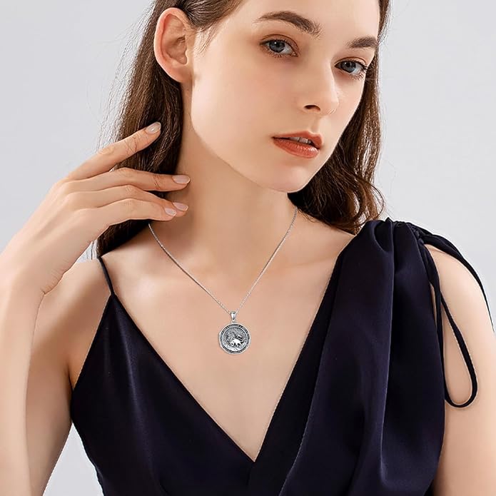 PELOVNY Locket Necklace That Holds Pictures 925 Sterling Silver Photo Locket Pendant Birthday Christmas Memorial Jewelry Gifts for Women Men