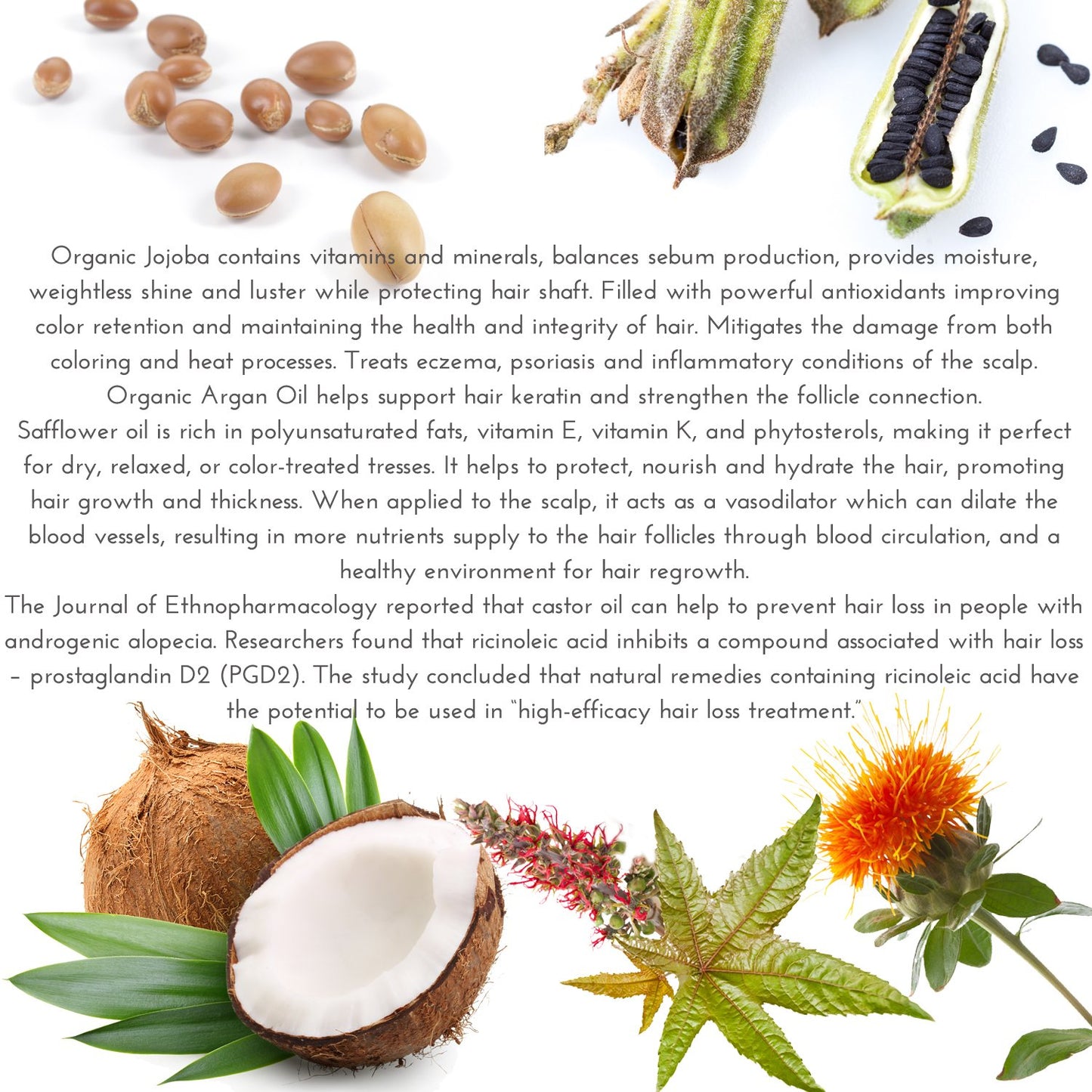 Organic Hair Growth Set | Fertile Roots Shampoo + Conditioner + Leave-In Treatment | Follicle Stimulating Rosemary, Ginger & Clove | Anti-Hair Loss, Strengthening, Nourishing | USA made