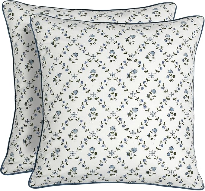 Ridhi Block Print Powder Blue Pillow Cover 24" x 24" (Pack of 2) Decorative Couch Pillows for Living Room, Farmhouse Chic Boho Cute Outdoor Pillows Covers Gifts for Spring, Mother's Day