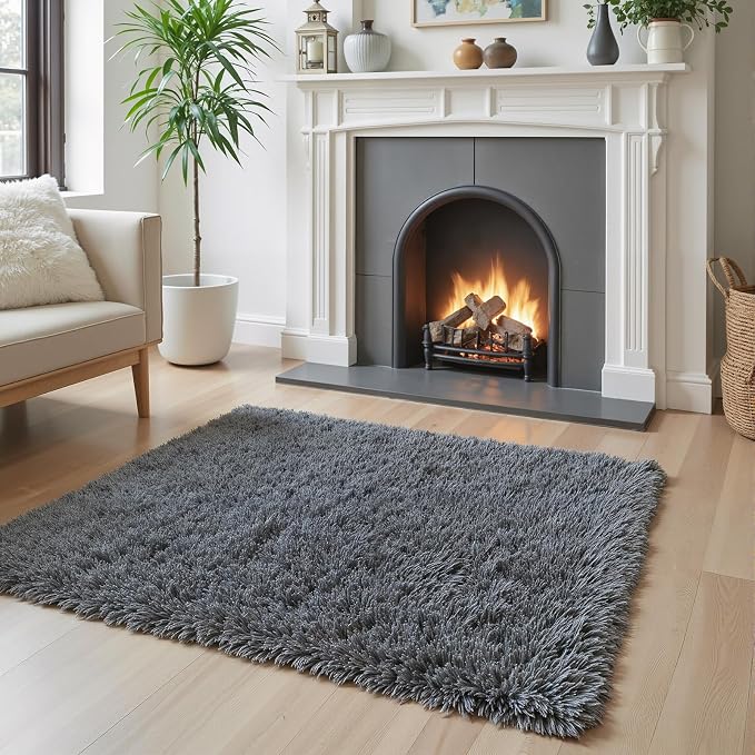 Small Rug Throw Rugs for Bedroom, Mini Area Rug, Fluffy Grey Carpet, Affordable Door Entryway Indoor Inside Front Entrance Dog 2x3 Mat, Home Decor Aesthetic(2 x 3, Dark Grey)