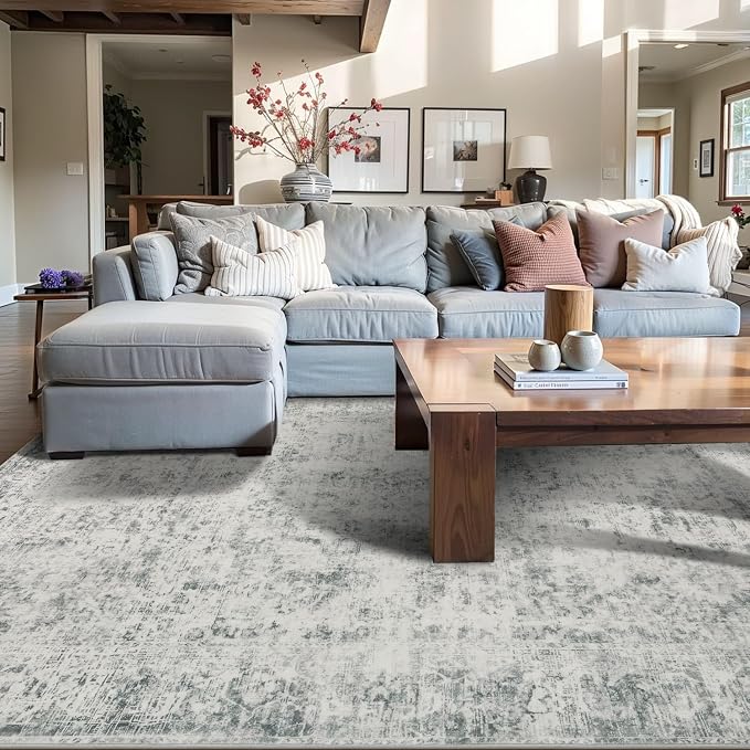 Rugxara 4x6 Area Rug for Living Room Bedroom Washable Rug, Grey | Non Slip, Throw Rug for Entryway Dining Room Office Kids Room, Stain Resistant, Soft, Low Pile, Vintage Boho Retro Carpet
