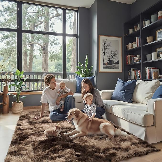 Fluffy Rug Shag Area Rug,Dark Coffee Tie-Dyed 3x5 Area Rugs for Bedroom | Non-Slip Small Soft Bedside Rug for Entryway,Living Room and Home Office