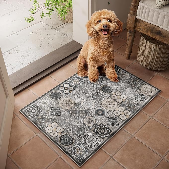 Machine Washable Entryway Small Area Rugs: Soft Non-Slip Low Pile Door Mat Indoor Entrance 2x3 ThrowRug for High-Traffic Areas Kitchen, Hallway, Farmhouse Decor