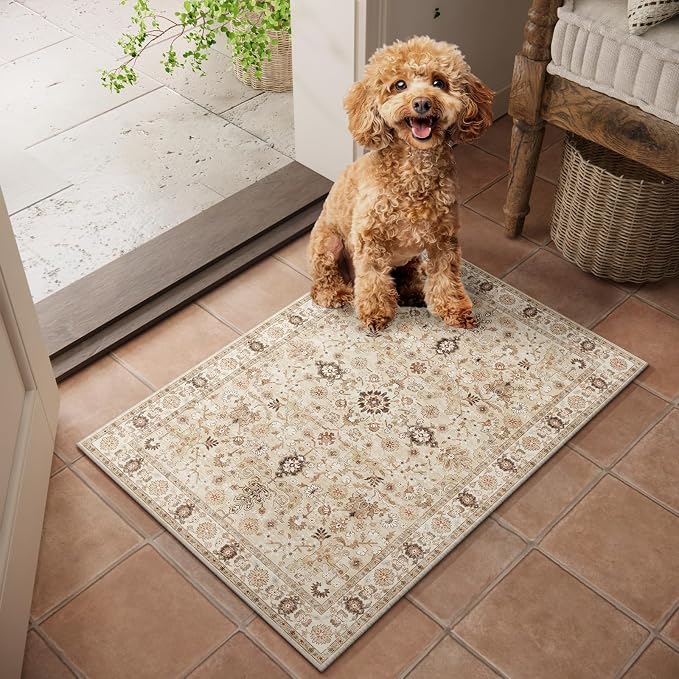 Machine Washable Entryway Small Area Rugs: Soft Non-Slip Low Pile Door Mat Indoor Entrance 2x3 ThrowRug for High-Traffic Areas Kitchen, Hallway, Farmhouse Decor