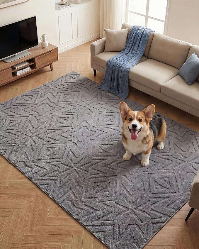 Carvapet 5x7 Area Rug - Grey High Low Pile Modern Floor Carpet, Washable Soft Plush 3D Texture Mat with Skid-Resistant Rubber Backing for Living Room Bedroom