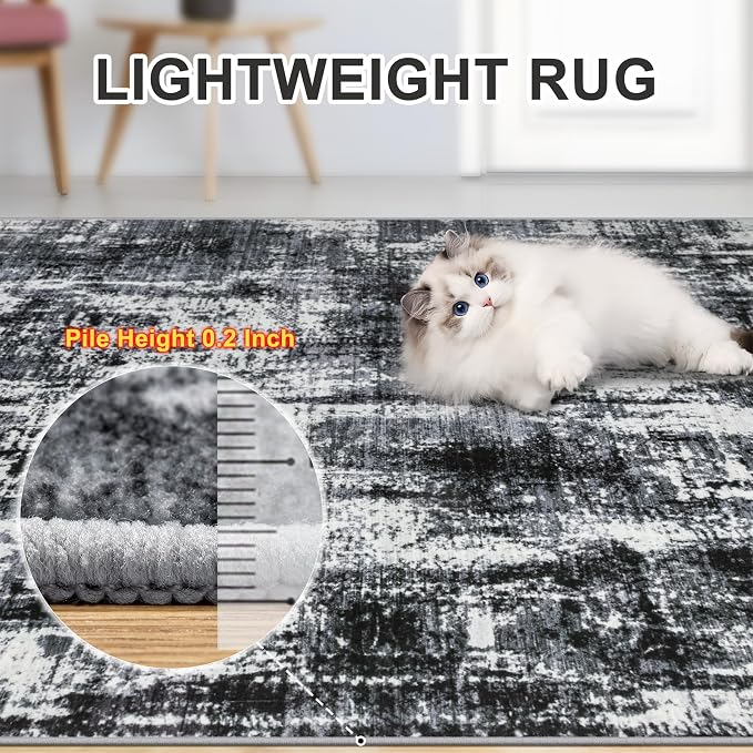 8x10 Area Rugs for Living Room - Washable Rug Modern Abstract Soft Large Neutral Non-Slip Carpet Indoor Floor Thin Carpets for Bedroom Dining Room Farmhouse Nursery Home Office Black