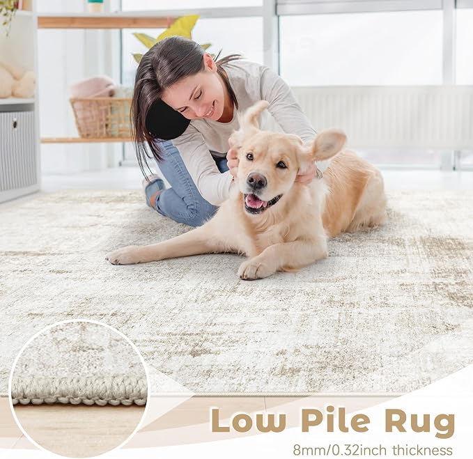 6x9 Area Rug for Living Room: Washable Abstract Soft Rugs Non Slip Modern Stain Resistant Low Pile Carpet for Dining Room Bedroom Nursery Office (Beige, 6'x9')