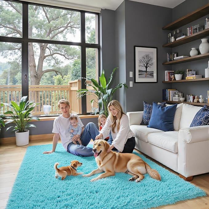 Fluffy Rug Shag Area Rug,Teal Blue 3x5 Area Rugs for Bedroom | Non-Slip Small Soft Bedside Rug for Entryway,Living Room and Home Office